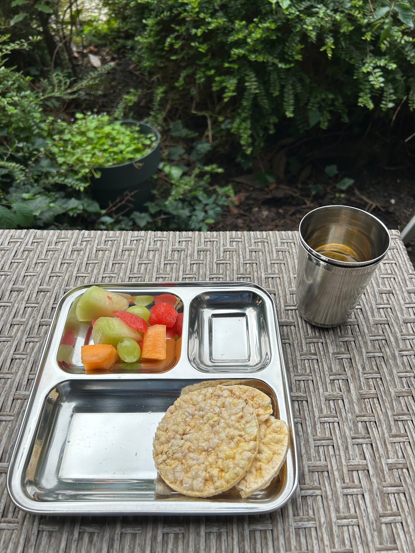 3 compartment plate